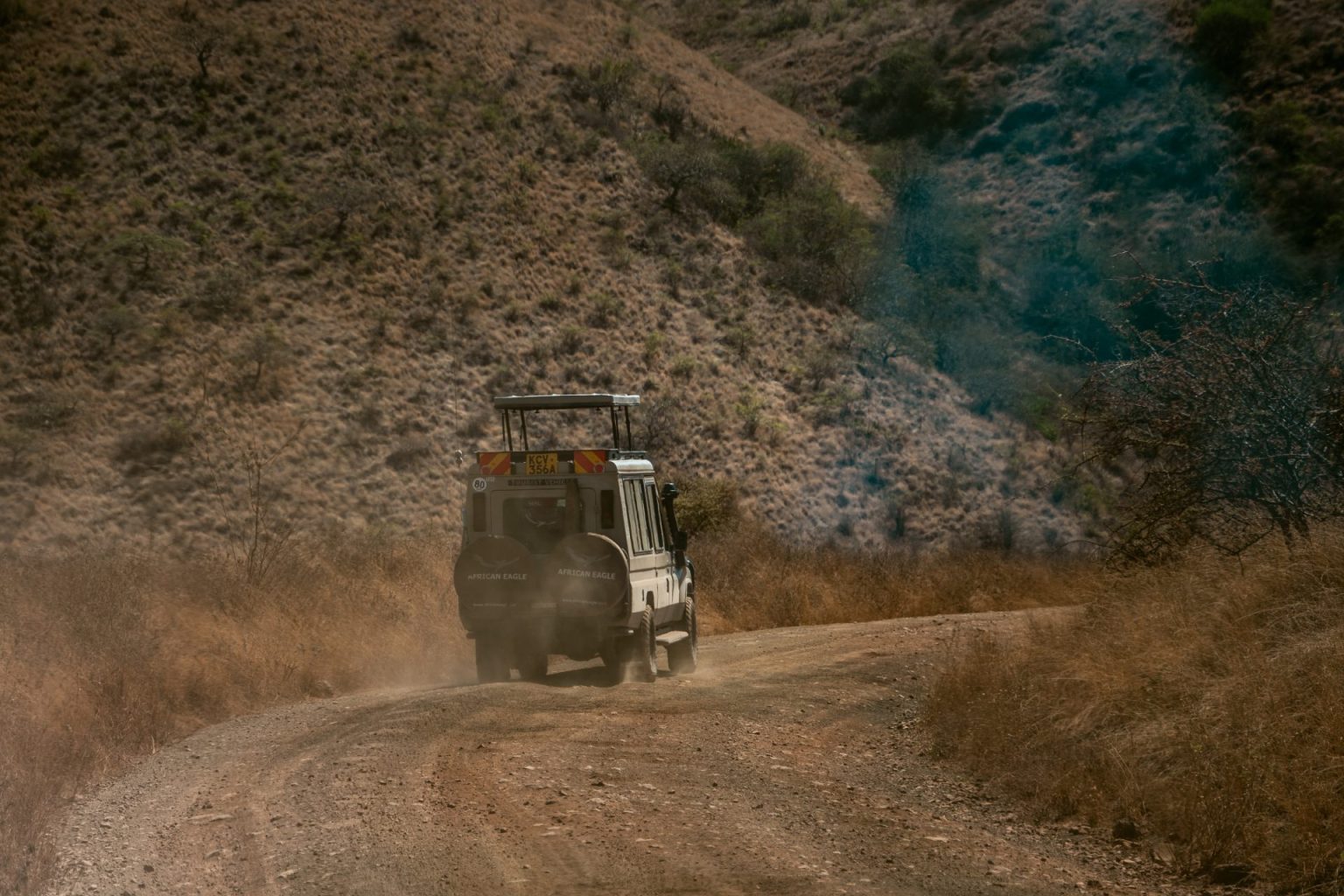 background-image